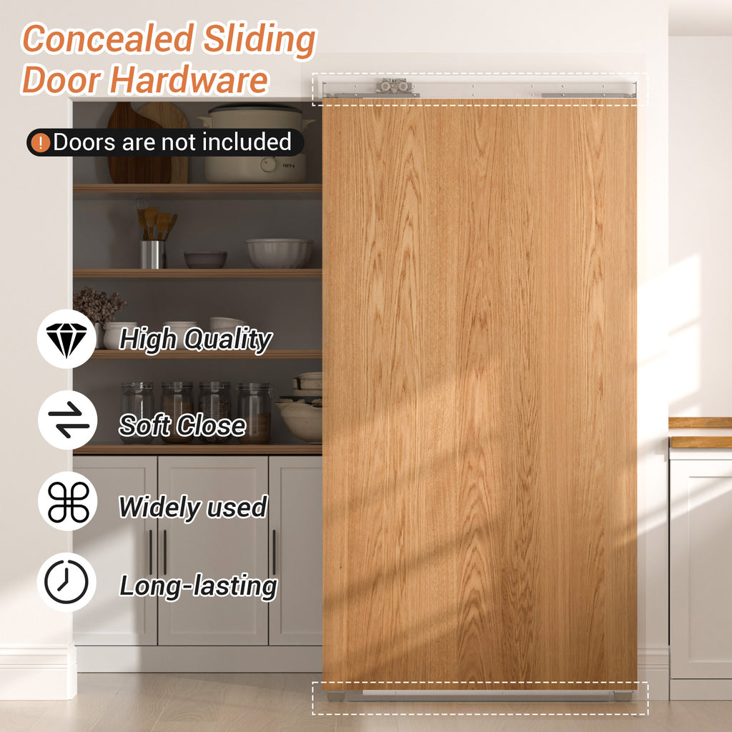 36" Concealed Sliding Barn Door Hardware with Soft Close Mechanism,Hidden Barn Door Hardware Kit,Wall Mount no Floor Track Fits Opening Width 25"-29"(Door not Included)